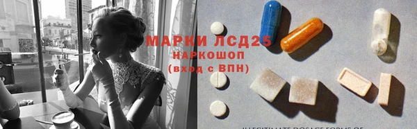 ГАЛЛЮЦИНОГЕННЫЕ ГРИБЫ Верея