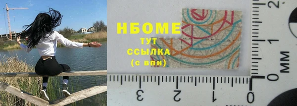 ГАЛЛЮЦИНОГЕННЫЕ ГРИБЫ Верея