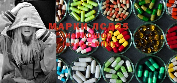 ГАЛЛЮЦИНОГЕННЫЕ ГРИБЫ Верея