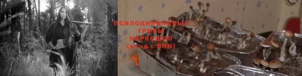 ГАЛЛЮЦИНОГЕННЫЕ ГРИБЫ Верея