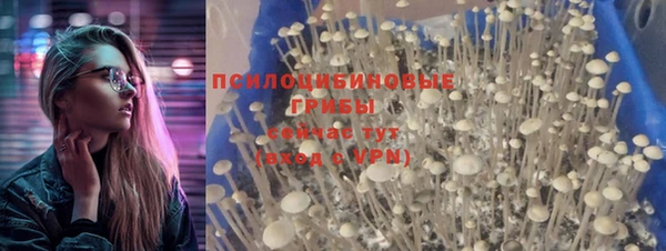 ГАЛЛЮЦИНОГЕННЫЕ ГРИБЫ Верея