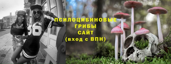 ПСИЛОЦИБИНОВЫЕ ГРИБЫ Бронницы